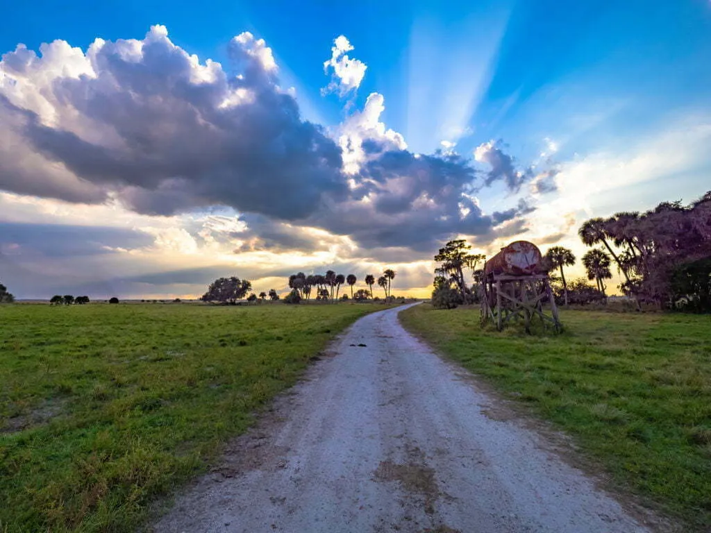 Dramatic sunbeams radiating through cumulus clouds above a dirt road leading through flat green pastureland with palm trees