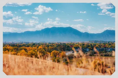 Boulder Flatirons mountain range under blue sky with autumn colored trees and golden grass in foreground