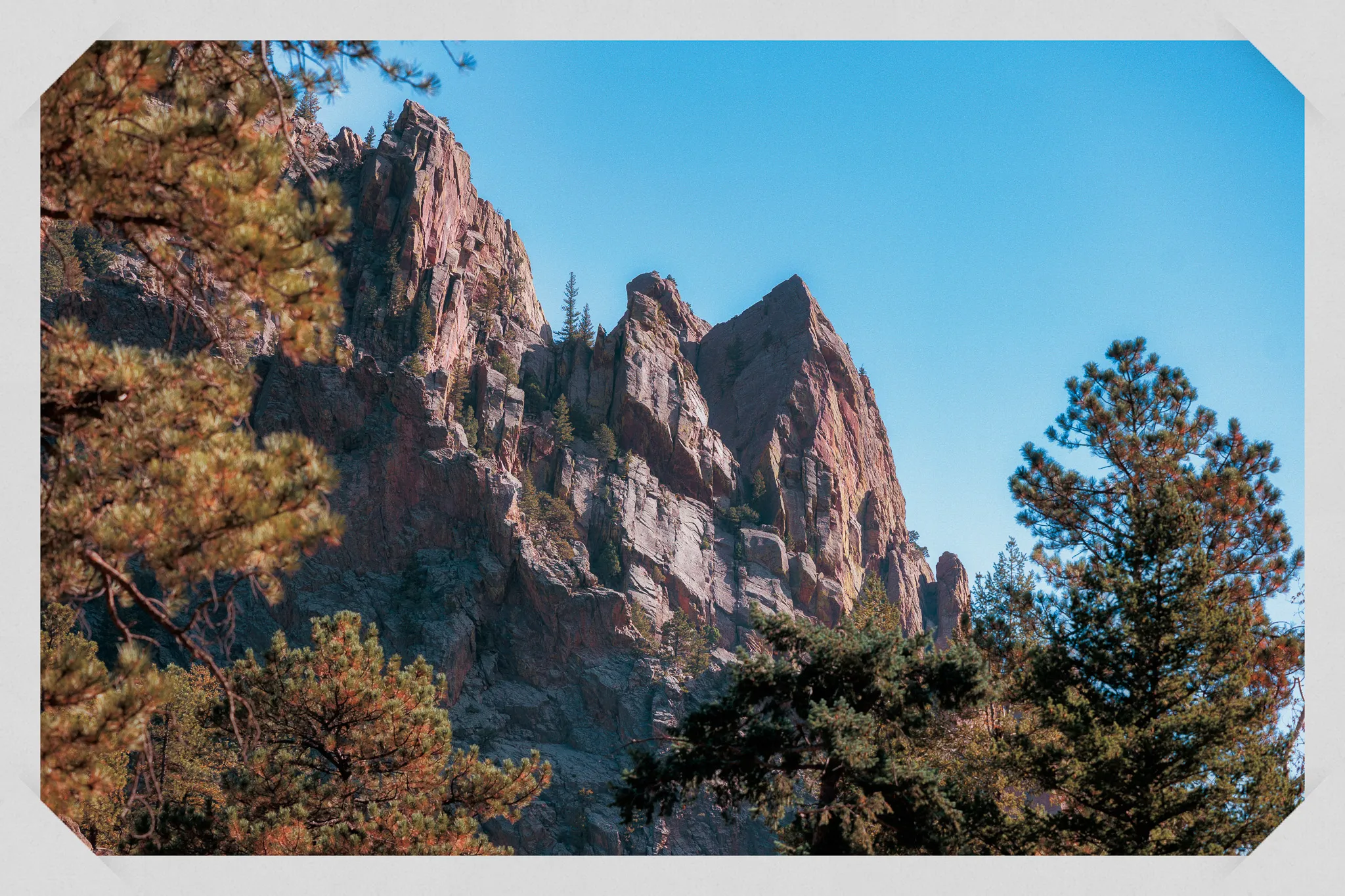 Red sandstone rock formations rising above pine trees against a clear blue sky in Colorado foothills