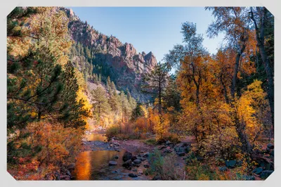 Rocky mountain canyon with creek, golden autumn aspens, and red rock cliffs under late afternoon light