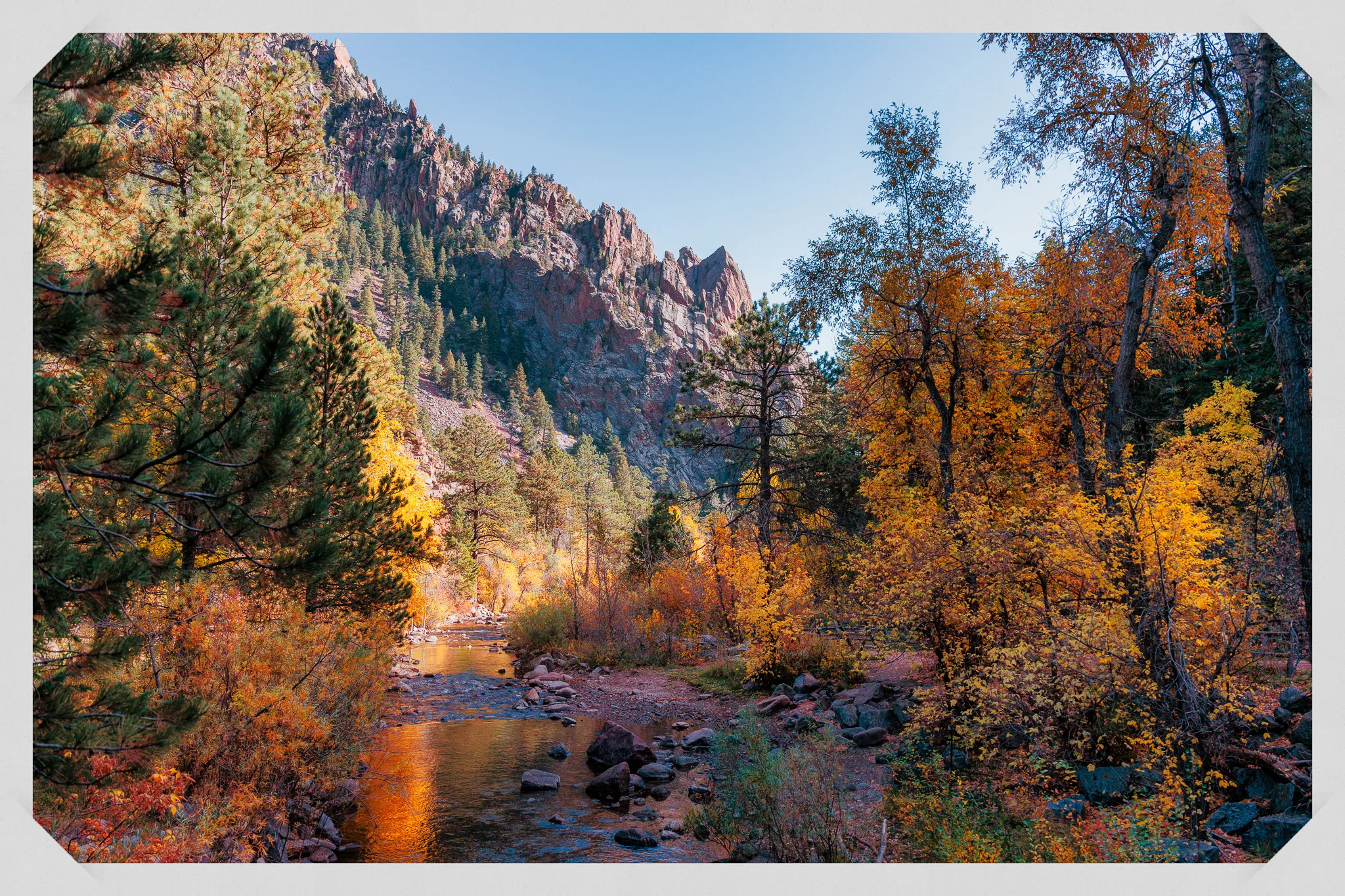 Rocky mountain canyon with creek, golden autumn aspens, and red rock cliffs under late afternoon light