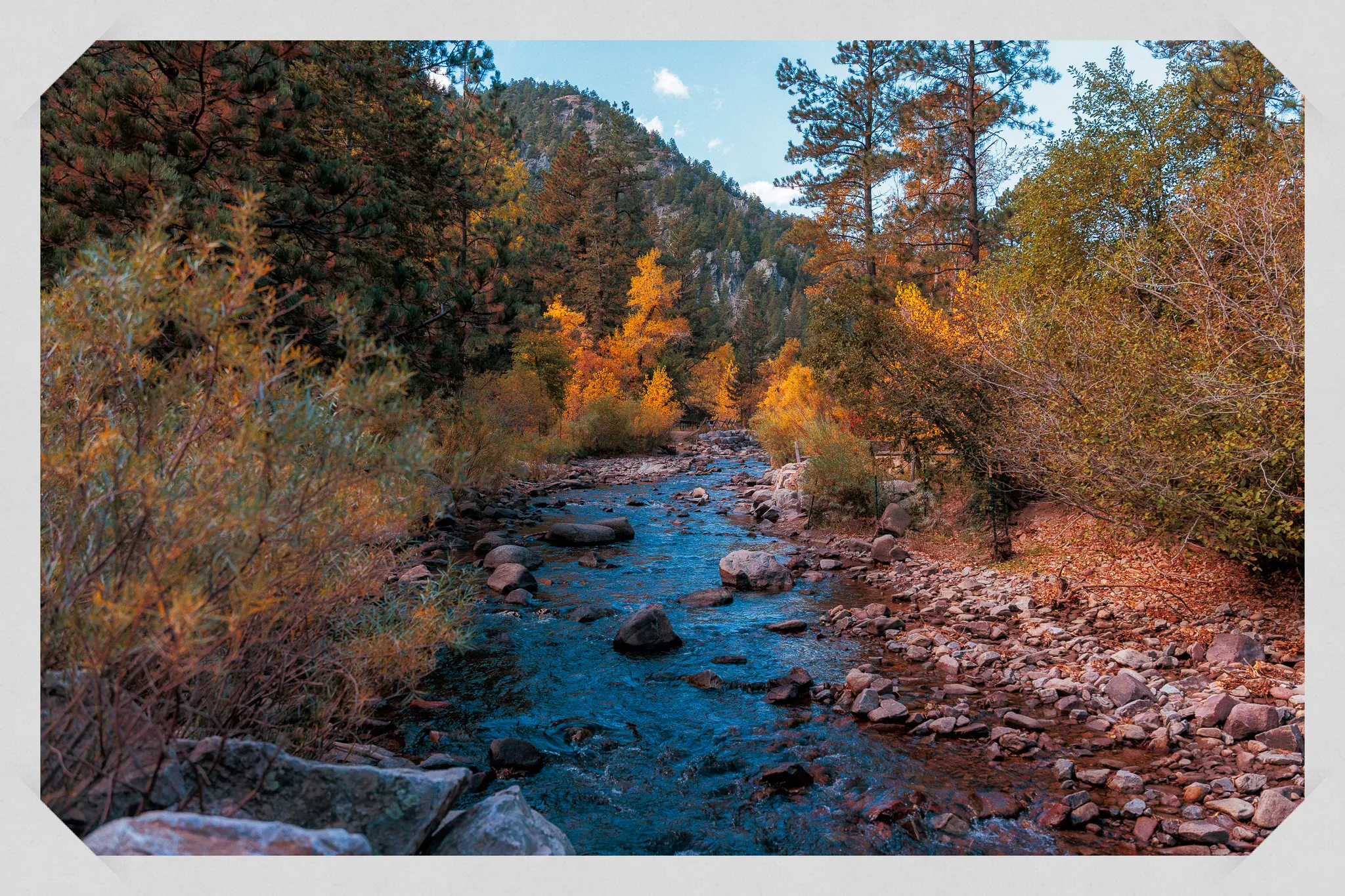 Rocky mountain creek flowing through canyon with golden autumn trees and forested hillsides under blue sky