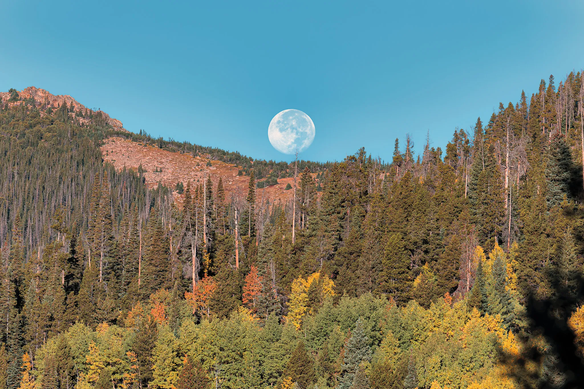 Full moon rising over a forested mountain ridge with golden and green aspen trees in autumn