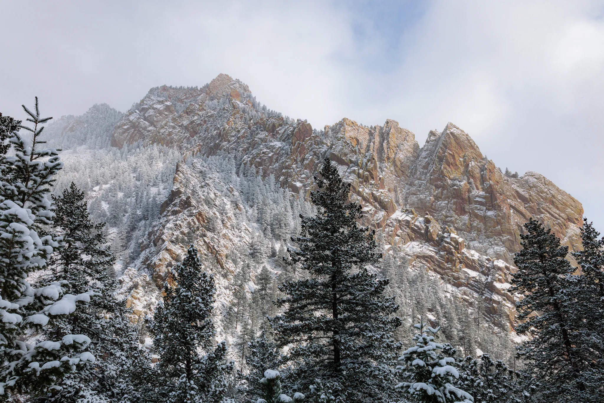 Snow-covered rocky mountain peaks rising above frosted pine trees under overcast winter sky in Colorado