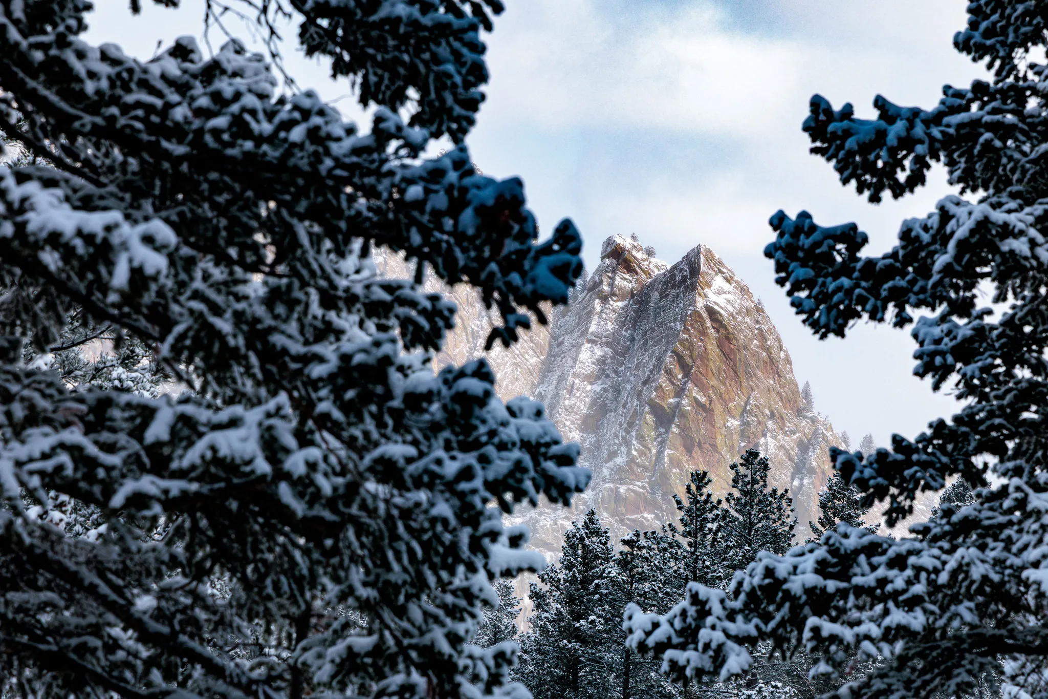 Sharp rocky Flatiron peak framed by snow-covered evergreen branches against a winter sky near Boulder